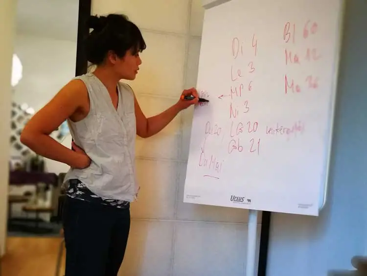 Tuina Pro Workshop Juni ´17 - Bild 8